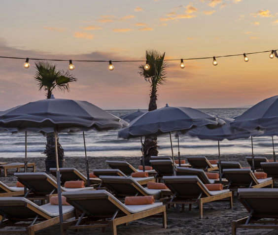 vignette En prépayant dès maintenant, profitez d'un tarif préférentiel si vous séjournez dans plus de 20 jours à l’Hôtel Les bains de Camargue !
