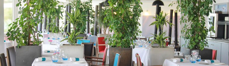 Le restaurant :