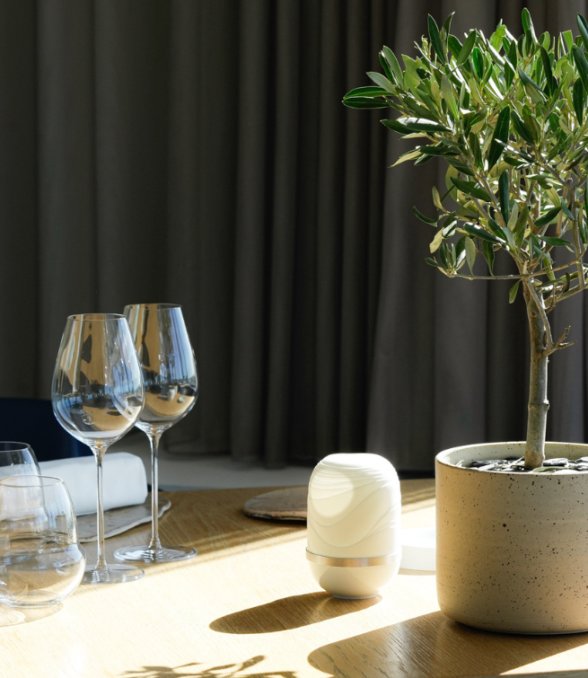 Les Oliviers – Ecume avec accord mets et vins